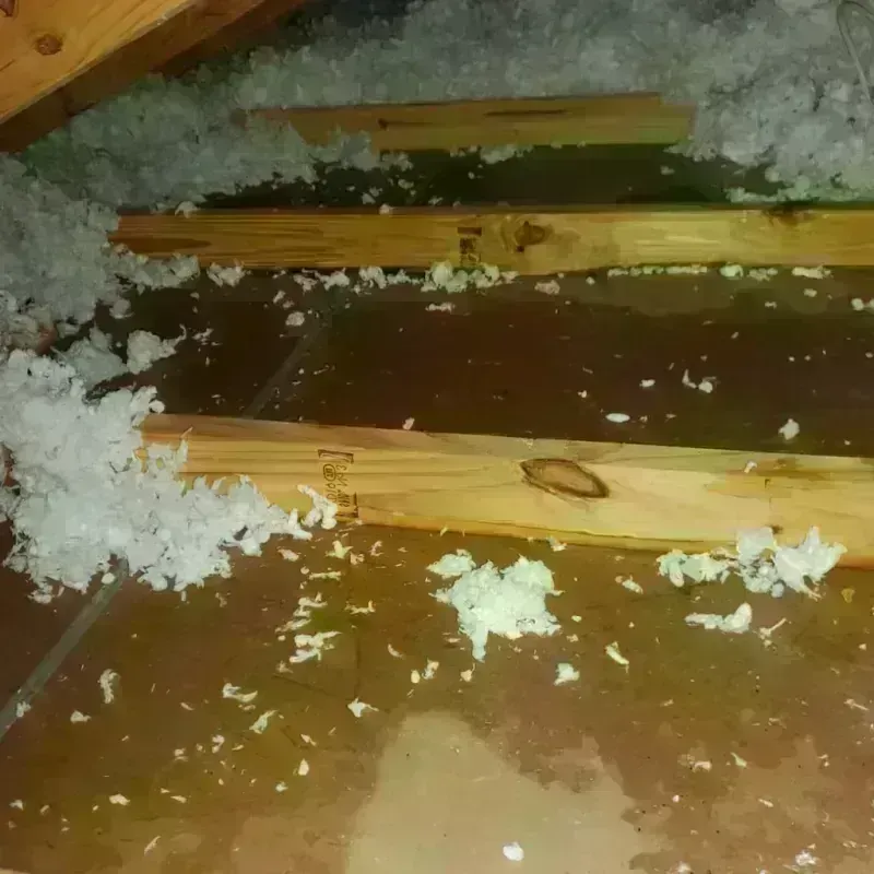 Attic Water Damage in Bodfish, CA