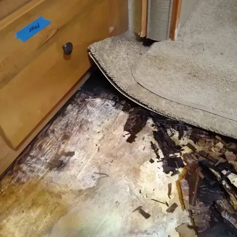 Wood Floor Water Damage in Bodfish, CA